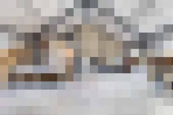 De Streng 5 A Ternaard thumbnail 28