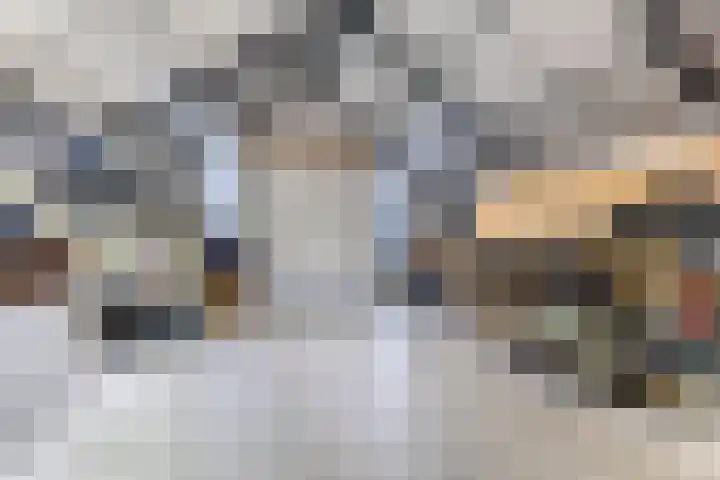 De Streng 5 A Ternaard thumbnail 29