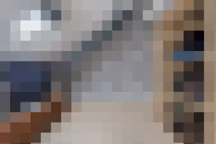 De Streng 5 A Ternaard thumbnail 38