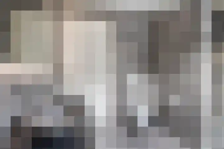De Streng 5 A Ternaard thumbnail 43