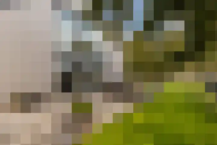 De Streng 5 A Ternaard thumbnail 47