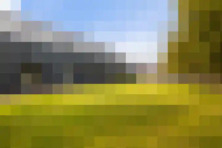 De Streng 5 A Ternaard thumbnail 50