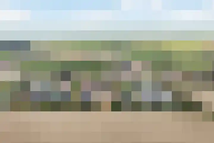 De Streng 5 A Ternaard thumbnail 6