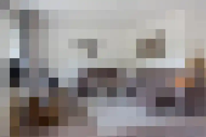de Strikel 5 Jubbega thumbnail 12