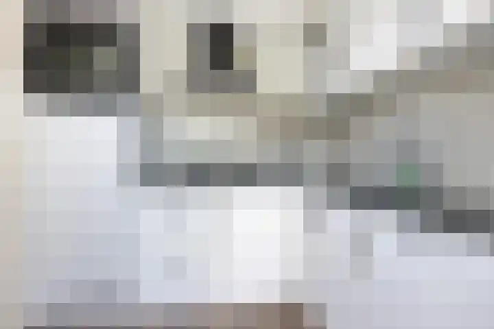 de Strikel 5 Jubbega thumbnail 18
