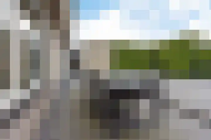 de Strikel 5 Jubbega thumbnail 38