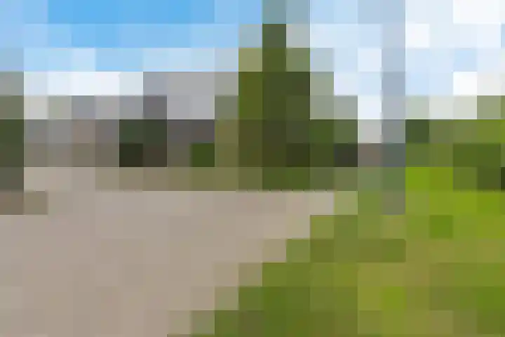 de Strikel 5 Jubbega thumbnail 39
