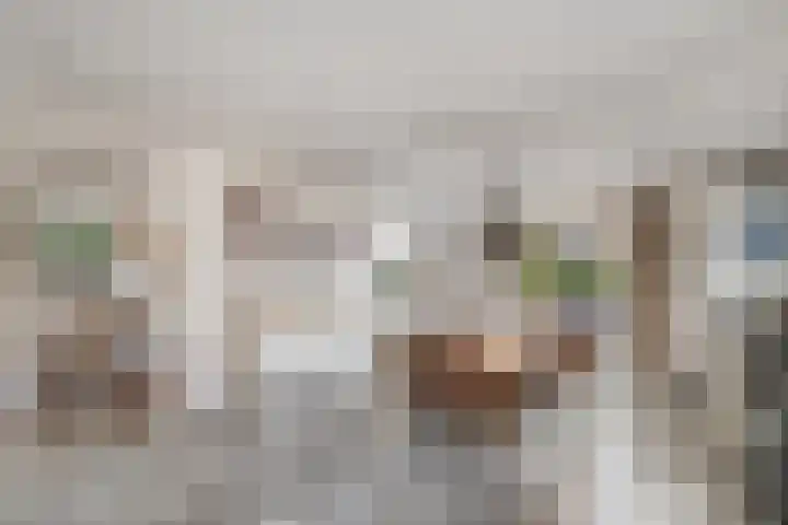 de Stringen 27 Nieuwehorne thumbnail 11