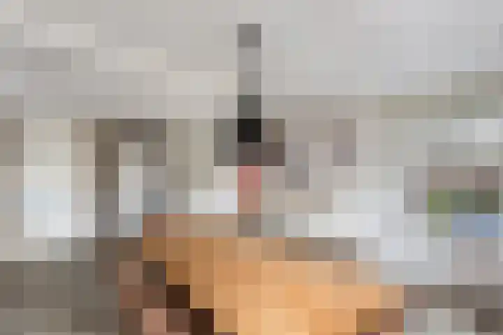 de Stringen 27 Nieuwehorne thumbnail 14