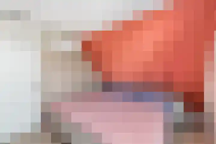 de Stringen 27 Nieuwehorne thumbnail 23