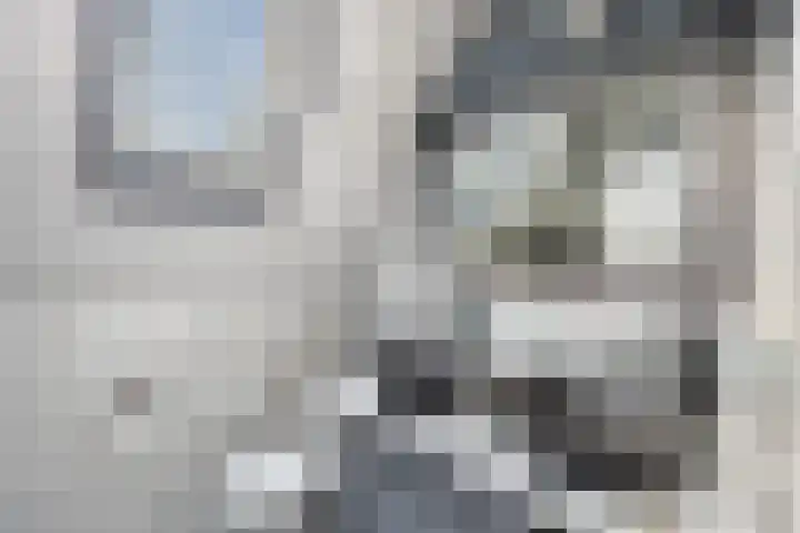 de Stringen 27 Nieuwehorne thumbnail 26