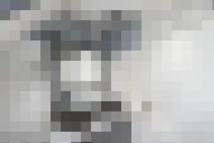 de Stringen 27 Nieuwehorne thumbnail 27
