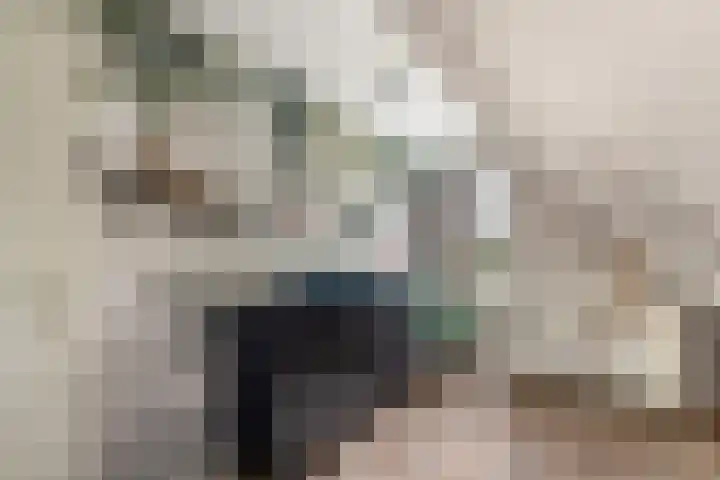 de Stringen 27 Nieuwehorne thumbnail 30