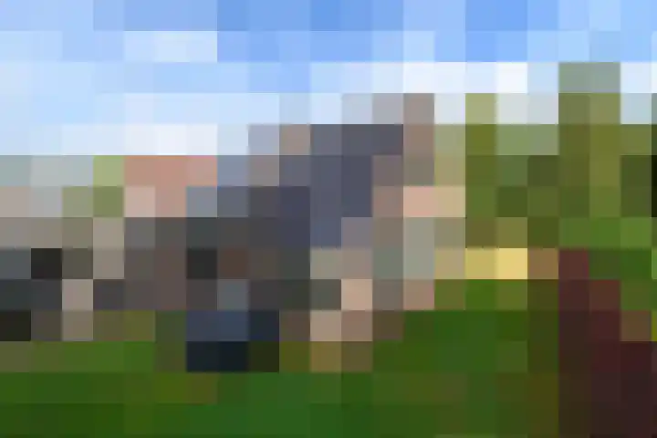 de Stringen 27 Nieuwehorne thumbnail 36