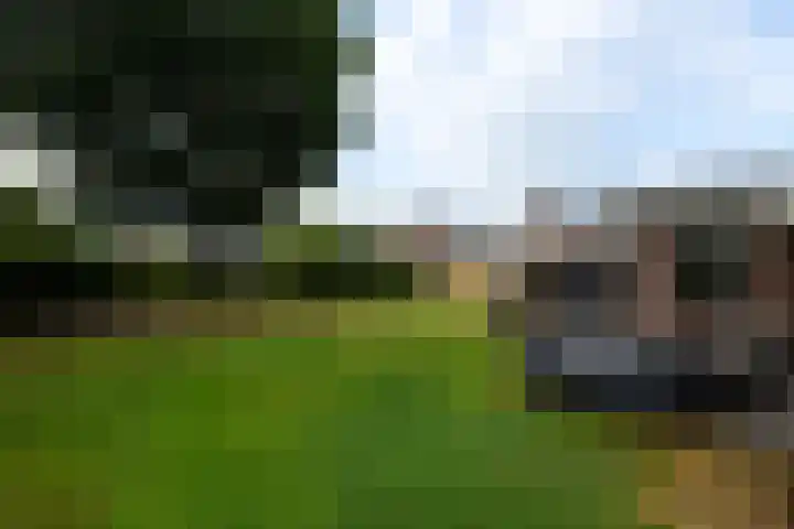 de Stringen 27 Nieuwehorne thumbnail 37