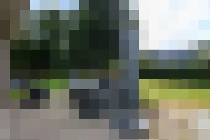 de Stringen 27 Nieuwehorne thumbnail 39