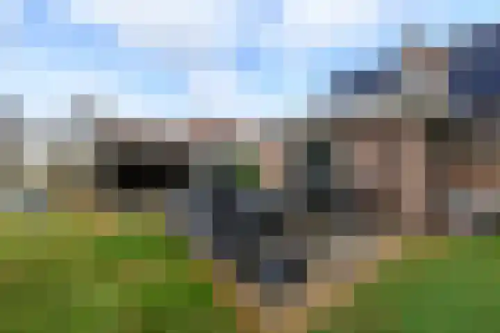 de Stringen 27 Nieuwehorne thumbnail 40