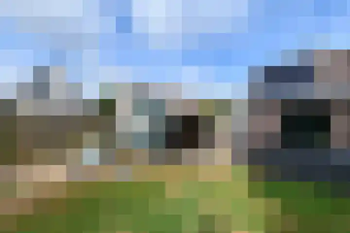 de Stringen 27 Nieuwehorne thumbnail 41