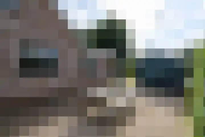 de Stringen 27 Nieuwehorne thumbnail 44