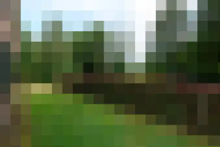 de Stringen 27 Nieuwehorne thumbnail 46