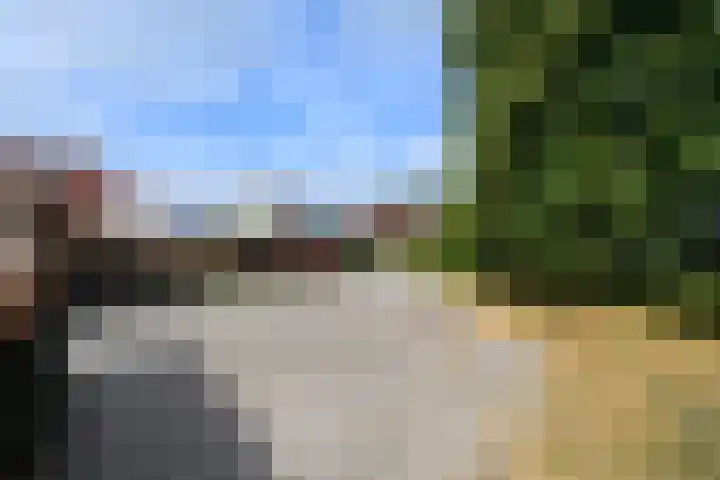 de Stringen 27 Nieuwehorne thumbnail 48
