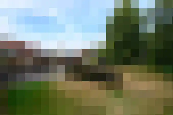 de Stringen 27 Nieuwehorne thumbnail 49