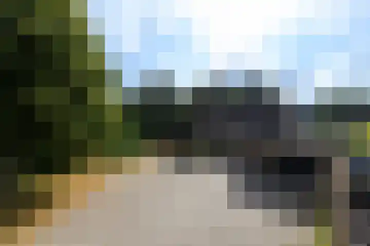 de Stringen 27 Nieuwehorne thumbnail 50