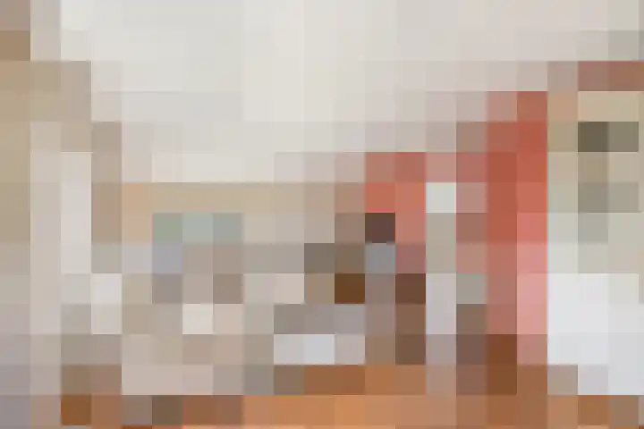 de Stringen 27 Nieuwehorne thumbnail 8