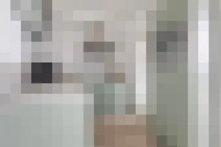 De Stringen 5 Hallum thumbnail 16