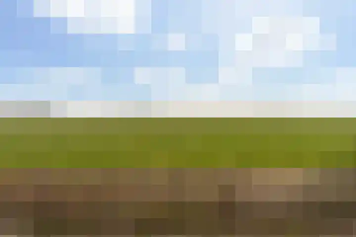 De Stringen 5 Hallum thumbnail 40