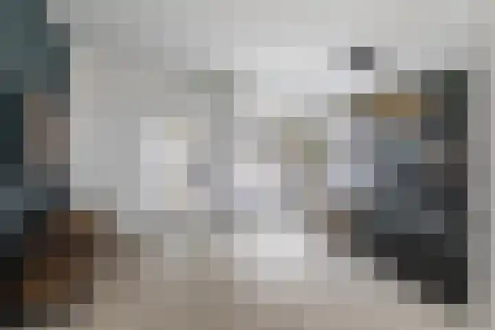 De Stringen 5 Hallum thumbnail 5