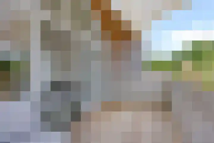 De Stripmaker 4 Almere thumbnail 27