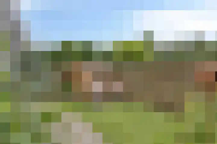 De Stripmaker 4 Almere thumbnail 32