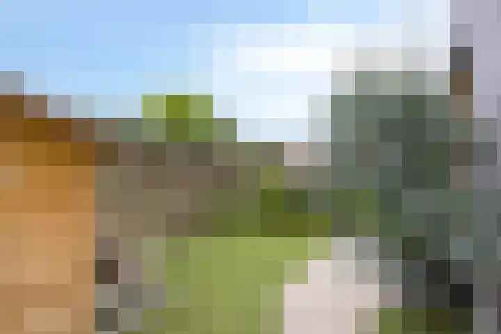 De Stripmaker 4 Almere thumbnail 33