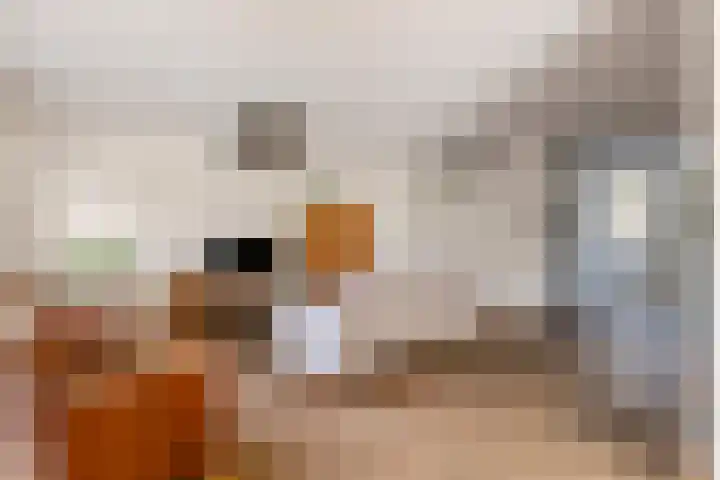 De Stripmaker 4 Almere thumbnail 4