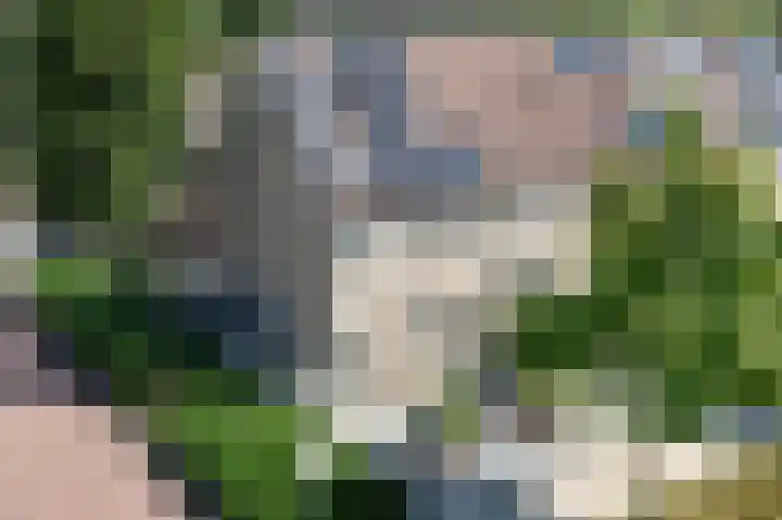 De Stroekeld 100 Rijssen