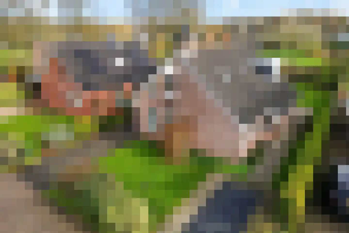 De Stroom 5 Beilen thumbnail 39