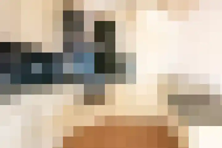 De Strubben 46 Emmen thumbnail 12