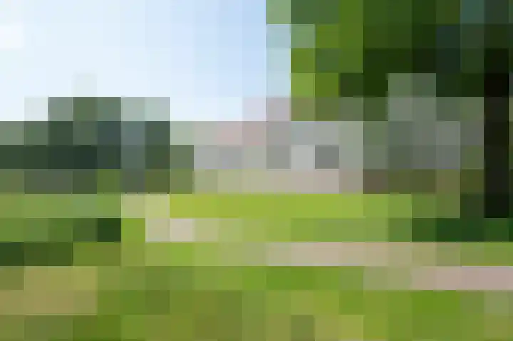 De Strubben 46 Emmen thumbnail 32