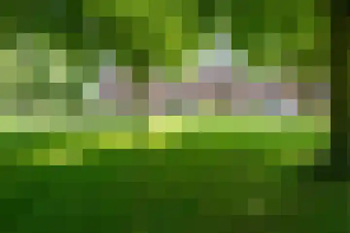 De Strubben 46 Emmen thumbnail 37