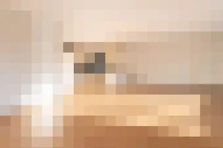 De Strubben 46 Emmen thumbnail 8