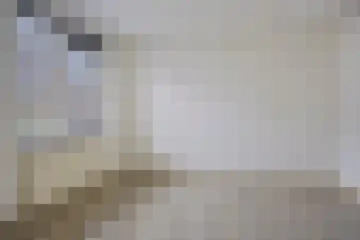 De Stûken 9 Harkema thumbnail 10