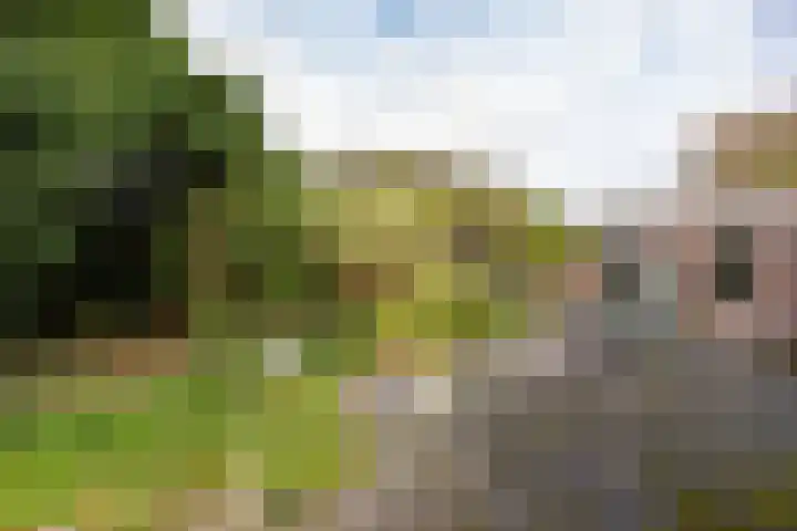 De Stuw 8 Sauwerd thumbnail 22