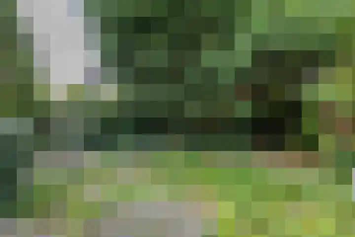 De Stuw 8 Sauwerd thumbnail 28