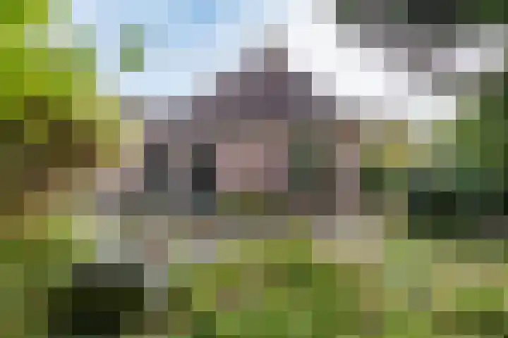 De Stuw 8 Sauwerd thumbnail 30