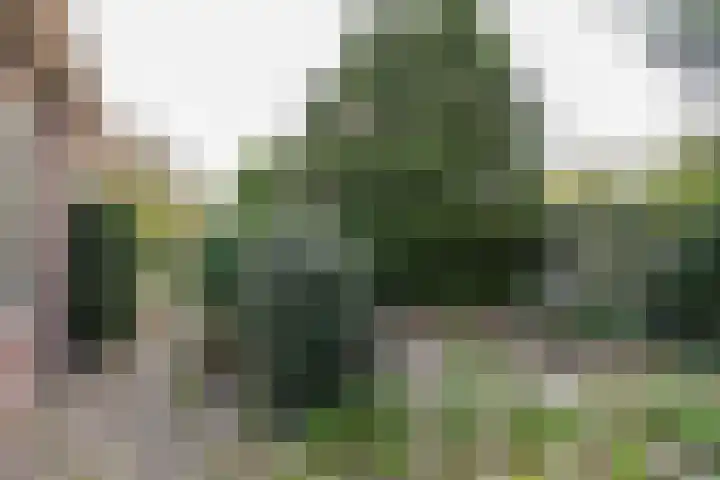 De Stuw 8 Sauwerd thumbnail 31