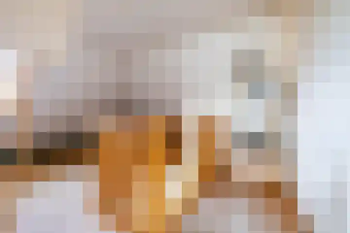 De Stuw 8 Sauwerd thumbnail 45