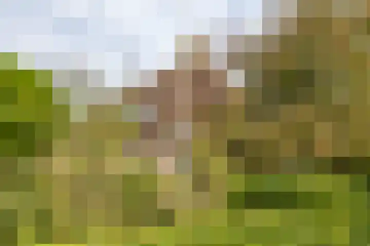 De Stuw 8 Sauwerd thumbnail 5