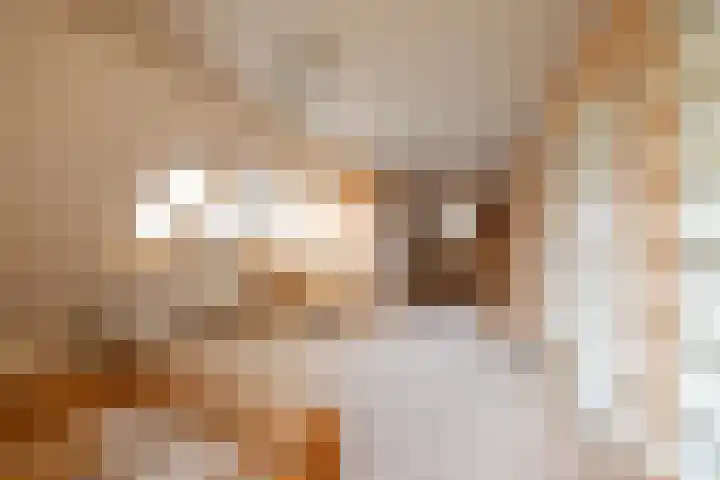 De Stuw 8 Sauwerd thumbnail 51