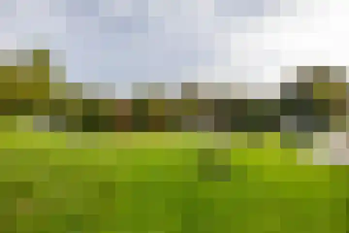 De Stuw 8 Sauwerd thumbnail 57